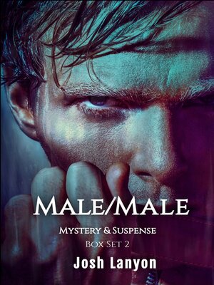 cover image of Male/Male Mystery & Suspense Box Set 2